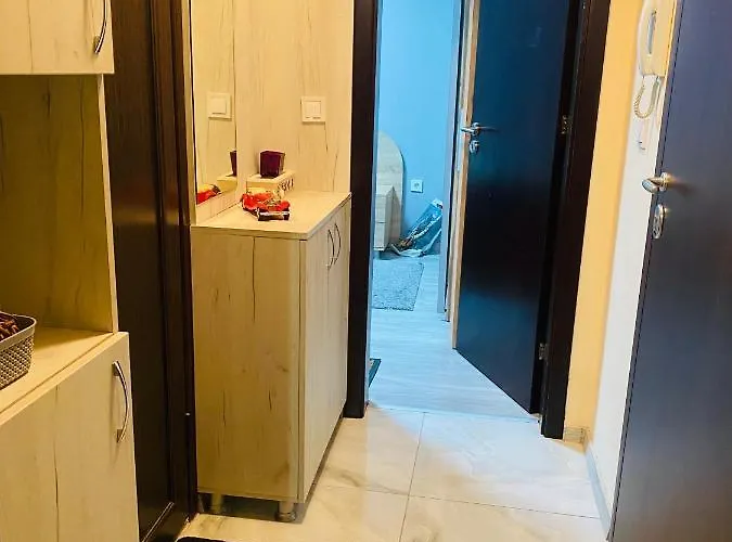 Vanilla Ice 바르나